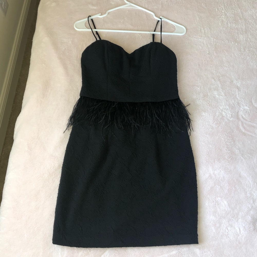 Nordstrom Feathery Dress